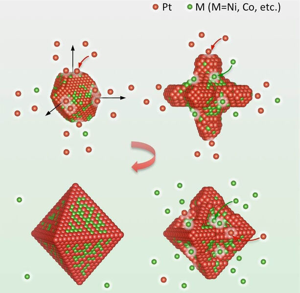 Das Rätsel des Wachstumsmechanismus von Platonischen Katalysatoren ist gelüftet: Oktaedrische Platin-Nickel-Nanopartikel werden in Form von Kub-Oktaedern geboren (oben links). An diese lagern sich die Platin-Atome (rot) bevorzugt an und bilden sechsarmige „Hexapods“ (oben rechts). Zwischen den Platin-Atomen (unten rechts) wiederum lagern sich die Nickel-Atome (grün) bevorzugt an und vervollständigen so das Oktaederpartikel (unten links). (Bild: FG Elektrokatalyse-Elektrochemie-Materialien)