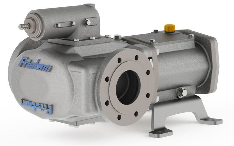 FDSI kann versatzfrei in bestehende Rohleitungen eingebaut werden (Fristam Industrie)