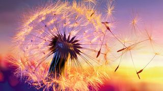 Druckluft ist eine wertvolle Energieform, umso wichtiger ist es, dass sie nicht unnötig verschwendet wird. (Romolo Tavani - Fotolia.com)