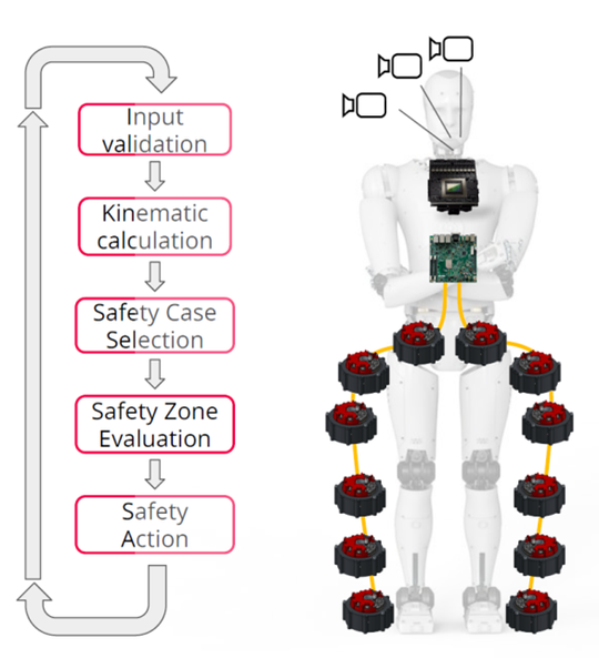 Sicherheit im Millisekunden-Takt: Die Grafik verdeutlicht die Architektur einer modernen Sicherheitssteuerung für humanoide Roboter. Erst durch diesen geschlossenen Regelkreis – von der Validierung der Sensordaten bis zur finalen „Safety Action“ in den Gelenken – wird eine gefahrlose Interaktion mit Menschen technisch möglich und zertifizierbar.(Bild:  Synapticon)