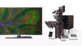 Laser-Scanning-Mikroskop von Evident für optimale Bildgebung (Bild: Evident Scientific)