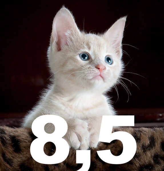 Exabyte (Milliarden Gigabyte) Datenvolumen wurden im Jahre 2015 generiert. Internetexperten gehen davon aus, das sich das digitale Universum künftig alle zwei Jahre verdoppelt. Schuld sind Sensordaten des Internets der Dinge, und nicht Katzenbilder und Selfies vor dem Spiegel. (Bild: Pixabay unter CC0 Public Domain)