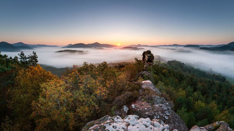 Der Pfälzer Wald in Rheinland-Pfalz ist eine der größten zusammenhängenden Waldlandschaften Deutschlands.(Bild: ©  marcelheinzmann – stock.adobe.com)