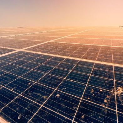 Leaves or bird droppings can cause hotspots on solar modules and reduce performance. (Image:Wirot stock.adobe.com.)