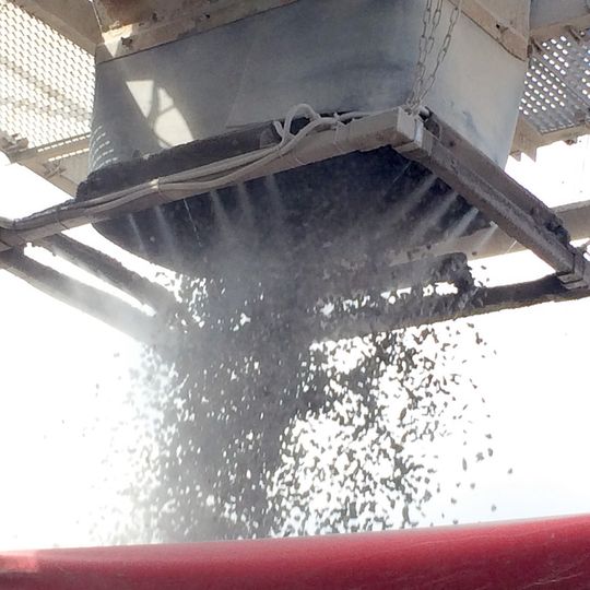 Freifallstrom durchnebeln – Das staubaktive Material wird durchdrungen und der enthaltene Staubanteil befeuchtet. Ziel ist es, den Staub möglichst vor seiner Entstehung zu binden, so dass eine Staubverwirbelung gar nicht erst entstehen kann.(Bild:  Terz – Nebolex)