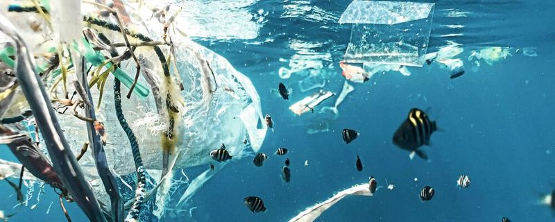 Plastikmüll treibt im Meer. Die Kunststoffe zersetzen sich mit der Zeit und geben Chemikalien an die Umgebung ab.(Bild:  frei lizenziert, Naja Bertolt Jensen  / Unsplash)