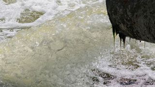 Der Nachweis von Covid-19 im Abwasser könnte als Frühwarnsystem für die Verbreitung des Virus dienen. (gemeinfrei)