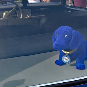 Der Wackeldackel passend zur Wagenfarbe im Peugeot 403(Bild:  Zietz – VCG)