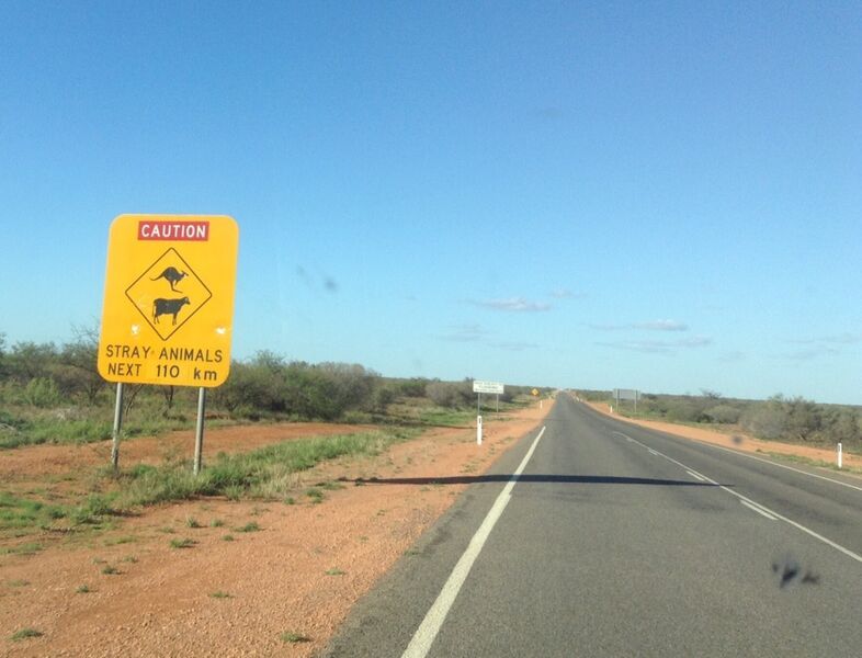 Australie, prudence le bétail n'est pas loin... Et là il faut posséder un natel bien rechargé pour pallier à toute éventualité, rencontre avec un bovidé ou un kangourou, panne d'essence, etc. (Image: JR Gonthier)