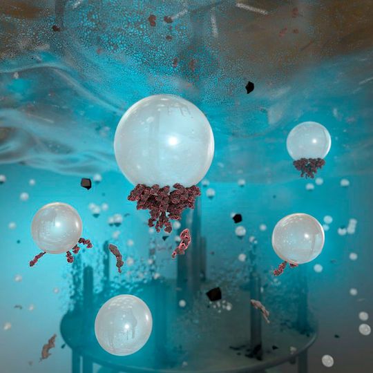 Aus Bakterien gewonnene bioaktive Stoffe sollen zielgerichtet an den Oberflächen von Erzmineralen binden, metallhaltige Wertpartikel einsammeln und wertlose Bestandteile zurückhalten.(Bild:  HZDR/ 3D Kosmos)