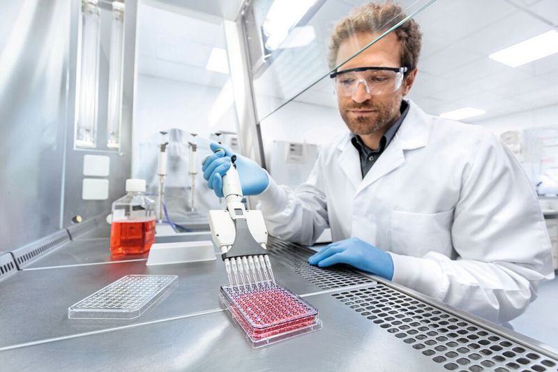 Membranbasierte Zellkultureinsätze für den Hochdurchsatz werden in Grundlagenforschung und Medikamentenentwicklung eingesetzt und stellen eine ethisch, wissenschaftlich und ökonomisch vorteilhafte Alternative zu Tierversuchen dar.  (Bild: Greiner Bio-One GmbH)