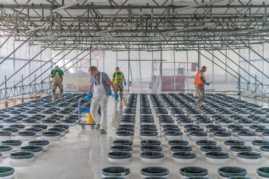Blick in die Halbleiterfertigung bei Bosch in Dresden. Das Thema Chips will das Unternehmen jetzt massiv mit mehreren Milliarden fördern. Warum, das erfahren Sie im nebenstehenden Beitrag. Blick in die Halbleiterfertigung bei Bosch in Dresden. Das Thema Chips will das Unternehmen jetzt massiv mit mehreren Milliarden fördern. Warum, das erfahren Sie im nebenstehenden Beitrag.