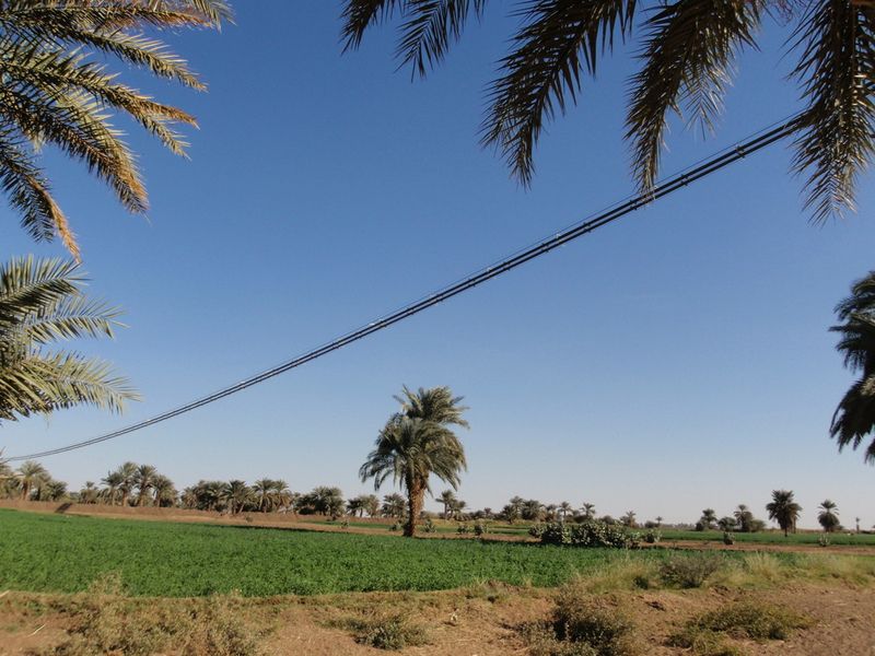 Fig. 2: Only a narrow strip on each side of the Nile is flooded regularly and can therefore be used as farm land. Ropecon spans this corridor with only a few tower structures. (Picture: Doppelmayr Transport Technology GmbH)