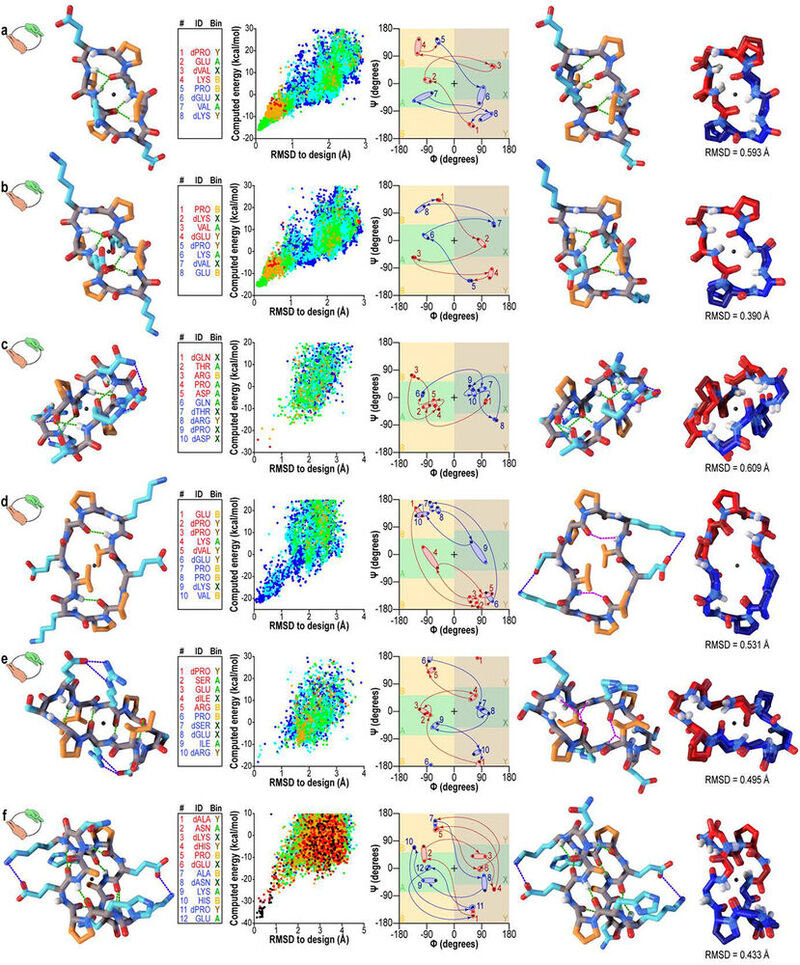 Molekulardesign mit D-Wave: Simulation der Faltung synthetischer Proteine auf einem Quantenannealer von D-Wave in einer klassischen Visualisierung.