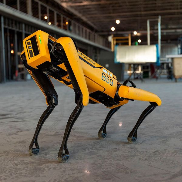 Das ist ein „Spot“-Roboter von Boston Dynamics, der mit anderen Typen jetzt die Logistik bei der Otto Group in die Zukunft führen soll. (Bild: Boston Dynamics)