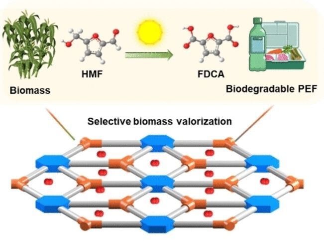 Ein neuer Katalysator erleichtert die Synthese von PEF aus Biomasse.