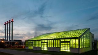 Das Algentechnikum der TU München  (Andreas Heddergott / TU Muenchen)