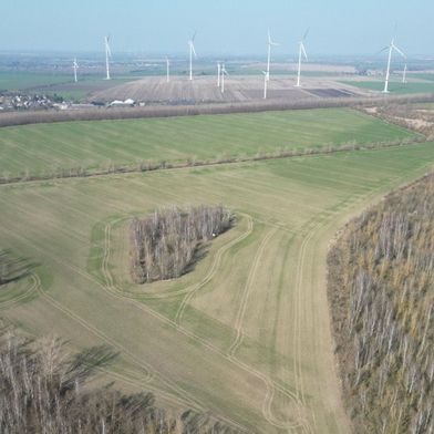 Der Solarpark "Langendorf" soll nach Fertigtellung rechnerisch rund 24.000 Haushalte mit Strom versorgen und jährlich etwa 67.000 t CO₂ einsparen.  (Bild: RES)