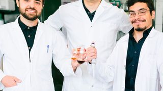 Wollen mehr Biologie in die chemische Industrie bringen: Dennis Reichert, Robert Kourist und Álvaro Gómez Baraibar (von links) (Kramer/RUB)