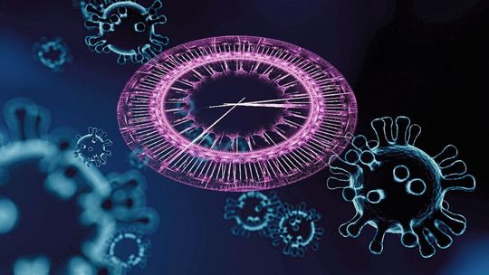 Wie lange hält der Impfschutz gegen Corona? Diese Frage lässt sich nur mit entsprechenden Langzeitstudien sicher beantworten. Wie lange hält der Impfschutz gegen Corona? Diese Frage lässt sich nur mit entsprechenden Langzeitstudien sicher beantworten.