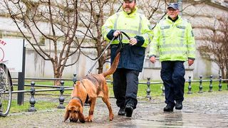 Hundeführer mit Mantrailer Bloodhound (Polizei Sachsen)