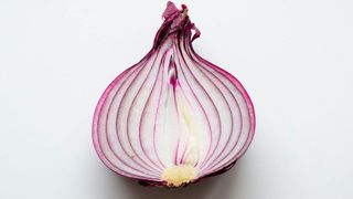 Das Modell der Zwiebel-Architektur lässt sich in .NET-Core-Projekten unkompliziert umsetzen. (Bild: k8_iv)