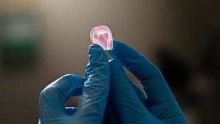 Das ist kein Gummibärchen sondern eins der an der EPFL per additiver Fertigung hergestelltes Objekt aus DNGE-Material. Es enthalt relativ steife Elastomerpartikel, eingebettet in eine weicher Matrix aus Elastomermaterial. Um durch mechanische Belastungen zu ermüden, braucht es dreimal so lange als andere Elastomere. (Bild: Titouan Veuillet)