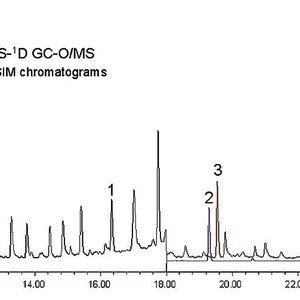 Abb. 2: SIM-Chromatogramme, entstanden durch DHS-1D GC-O/MS von dotiertem Wasser bei je 10 ng/L. 1. MIB (m/z 95), 2. TCA (m/z 195), 3. Geosmin (m/z 112). 
