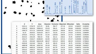 Software Modul Particle Finder (Horiba Scientfic)