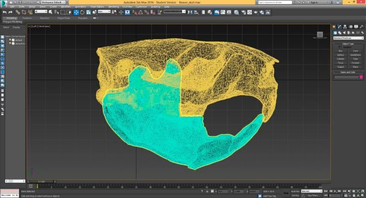 Um das endgültige Polygonnetz zu erzeugen, war eine scharfe Fusion des gesamten Schädels bei einer Auflösung von 1 mm notwendig.  (Bild: SCSU VizLab)