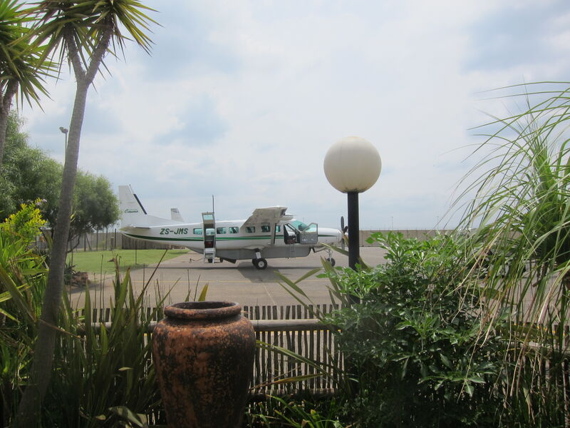 Mit einem privaten Kleinflugzeug wurden die Teilnehmer in den Busch geflogen. (Bild: Also)