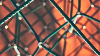 Über Datenmarktplätze können Unternehmen ihre Sensordaten Dritten zugänglich machen. So entstehen völlig neue digitale Ökosysteme. (Bild: Clint Adair via Unsplash)