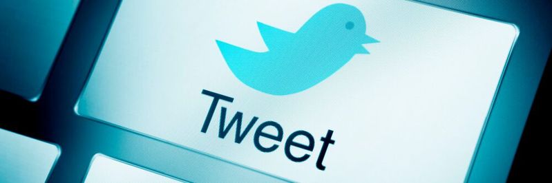 Tweeten war einmal – nach Elon Musks Übernahme von Twitter ist einiges im Umbruch(©  Erikona, Getty Images via Canva.com)