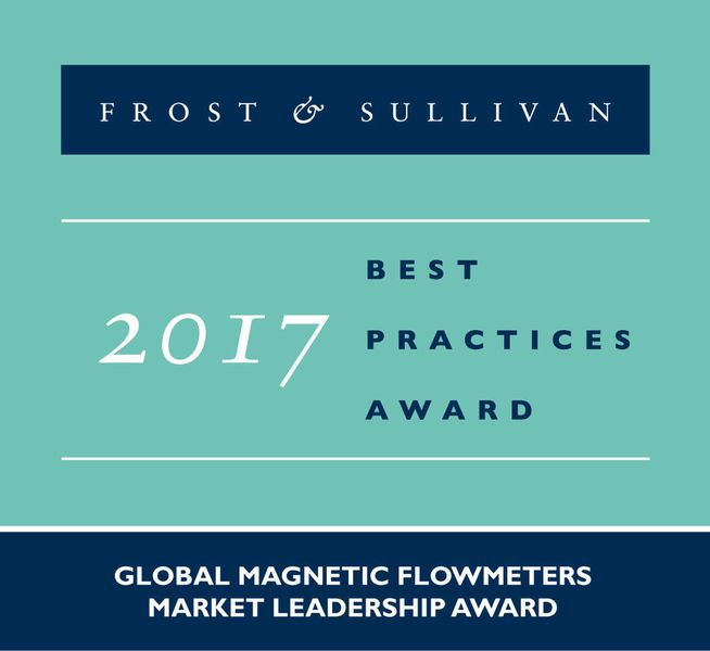 Frost & Sullivan hat Endress+Hauser mit dem „Global Market Leadership Award“ für magnetisch-induktive Durchflussmessgeräte ausgezeichnet. (Endress+Hauser)