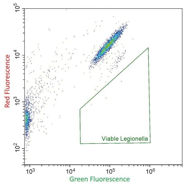 Fig. 5: Legionella pneumophila SG1 cells after sample preparation with the CellStream and quantified by flow cytometry. The dot plot on the right shows dead cells that are additionally stained with a red viability dye and therefore are stained red and green (e.g. after disinfection). (rqmicro)