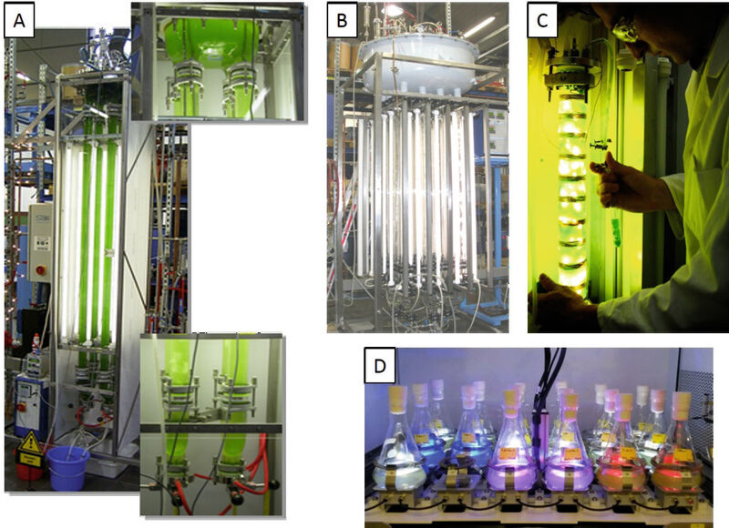 Abb. 1: Kultivierungssysteme für Mikroalgen: A) Medusa Photobioreaktor, 25 L; B) Medusa Photobioreaktor, 100 L; C) Intern beleuchteter Photobioreaktor mit Wireless Light Emittern; D) Futureled Beleuchtungstablar (Bild: BVT FAU, IBK TUM)