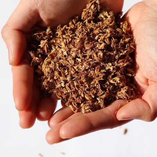 Chemikerinnen und Chemiker der Uni Jena nutzen Biertreber als biologische Ressource für die Herstellung elektrochemischer Energiespeicher.(Bild:  Christian Leibing)