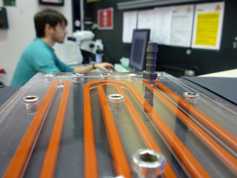 Mit der Mikroskopkamera (Hintergrund) werden Bewegungsmuster erfasst; vorne der Plexiglaskanal, der den Forschern dazu gedient hat, die Ausbreitungsgeschwindigkeiten der Wimperntierchen zu ermitteln. (Bild: Eawag)