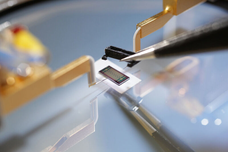 Sensor der FSU Jena mit 15 Graphen-FETs bei Voruntersuchungen am IMMS. Das IMMS entwickelt die miniaturisierte Messtechnik für kleinste Ströme, die für die in-viro-Graph angestrebte neuartige Technologieplattform zum Nachweis von Sars-CoV-2 notwendig ist.  (IMMS)