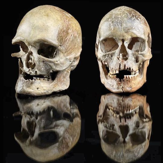 Der älteste Beweis für die Wanderbewegung während der Klimaerwärmung: Schädel eines Mannes und einer Frau, die vor rund 14.000 Jahren in Westdeutschland (Oberkassel) bestattet wurden. Genetisch stammen sie aus dem Süden.(Bild:  Jürgen Vogel, LVR-LandesMuseum Bonn)