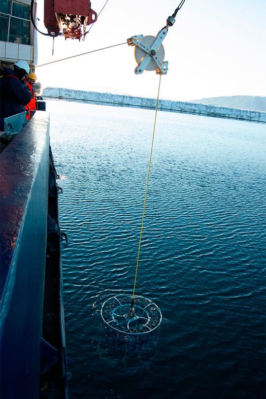 Günstige Wetterbedingungen ermöglichten dem GEOTRACES-Team auch die Beprobung von Gletscherschmelzwasser, wie hier am „79°N Gletscher“, der die größte schwimmenden Eiszunge des Grönländischen Eisschild hat.(Bild:  Stephan Krisch/TU Braunschweig)