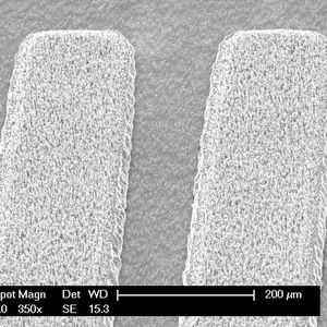 Bild 2: Kontaktpads nach dem Stripping-Prozess(Bild:  NanoWiired)