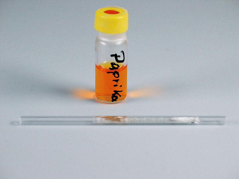 Abb.3: 2-mL-Vial mit einem Paprika-Extrakt gemäß
der Quechers-Methode und ein mit Glaswolle
gefüllter Liner, in den einmal 5 µL dieses Extraktes
injiziert wurden. (Archiv: Vogel Business Media)