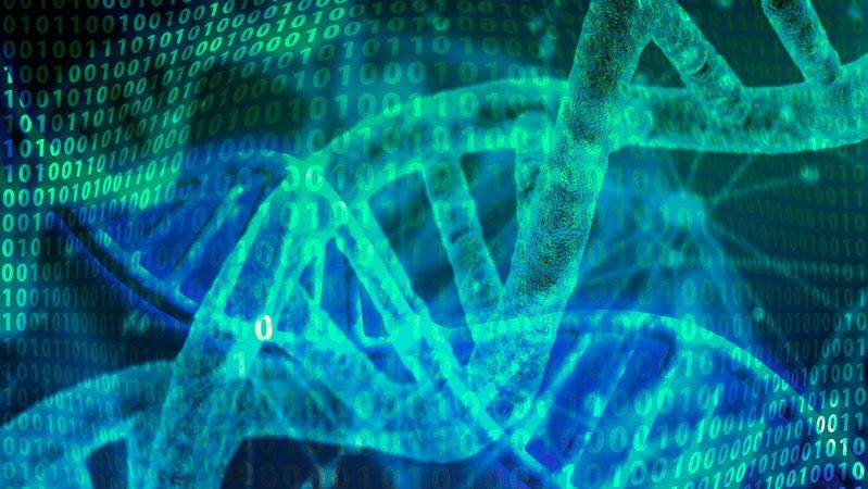 Borrowing from chatbots, researchers create first language model for population genetics.(Source:  free licensed /  Pixabay)
