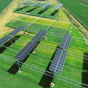 Bild 1:  Im Reallabor Agri Food-Energy-Park (AgriFEe) des Instituts für Pflanzenwissenschaften (IBG-2) am Forschungs­zentrum Jülich werden neue Konzepte für die Agri-Photo­voltaik erprobt.(Bild:  Forschungszentrum Jülich / Christina Kuchendorf)