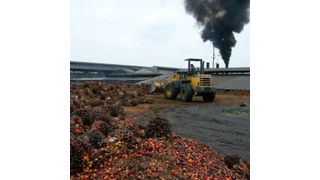 Palm oil processing plant in Indonesia (EPFL/WSL)