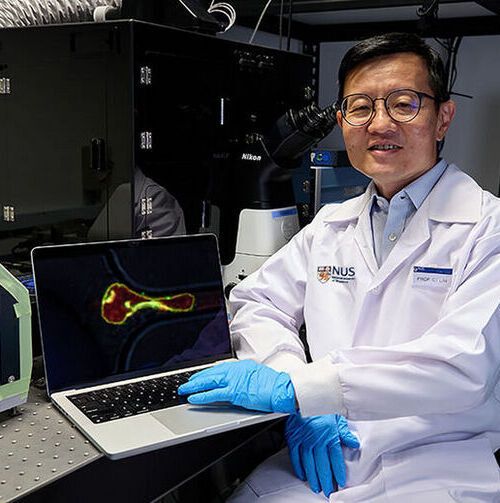 Prof Lim Chwee Teck showing an image of a ‘mechano-resilient’ cancer cell undergoing extensive deformation as the cell is squeezed through a narrow channel. Prof Lim Chwee Teck showing an image of a ‘mechano-resilient’ cancer cell undergoing extensive deformation as the cell is squeezed through a narrow channel.