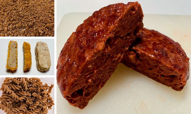 Rapskernkonzentrat bildet stabile Emulsionen mit anderen Zutaten uns lässt sich hervorragend zu Burger-Patties, Hackfleisch- und Fischstäbchenersatzprodukten sowie Pasta verarbeiten. (Bild: Flowfood)