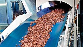 Spezielle Fördertechnik Für praktisch jedes Produkt und jeden Einsatzzweck wird am Markt die geeignete Fördertechnik angeboten, wie das Muldenband für den Tabaktransport.Bild: Forbo Siegling (Archiv: Vogel Business Media)