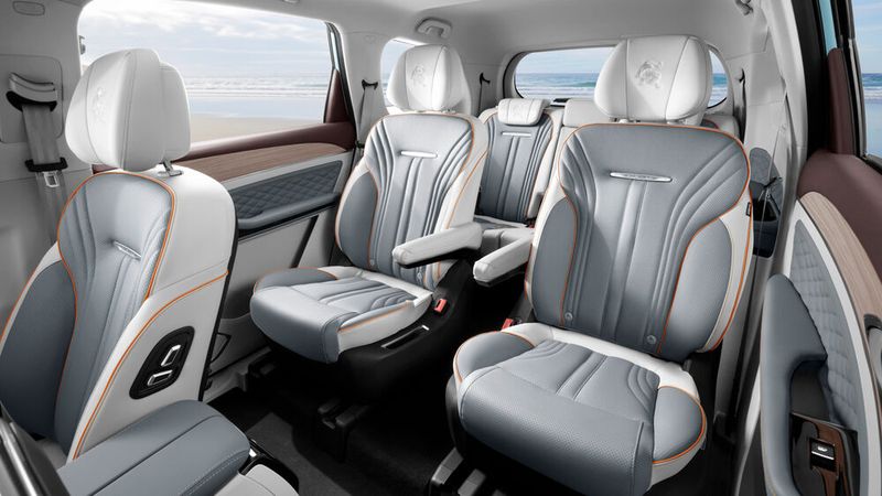 In der zweiten Reihe gibt es zwei komfortable Einzelsitze. (Bild: Indimo)
